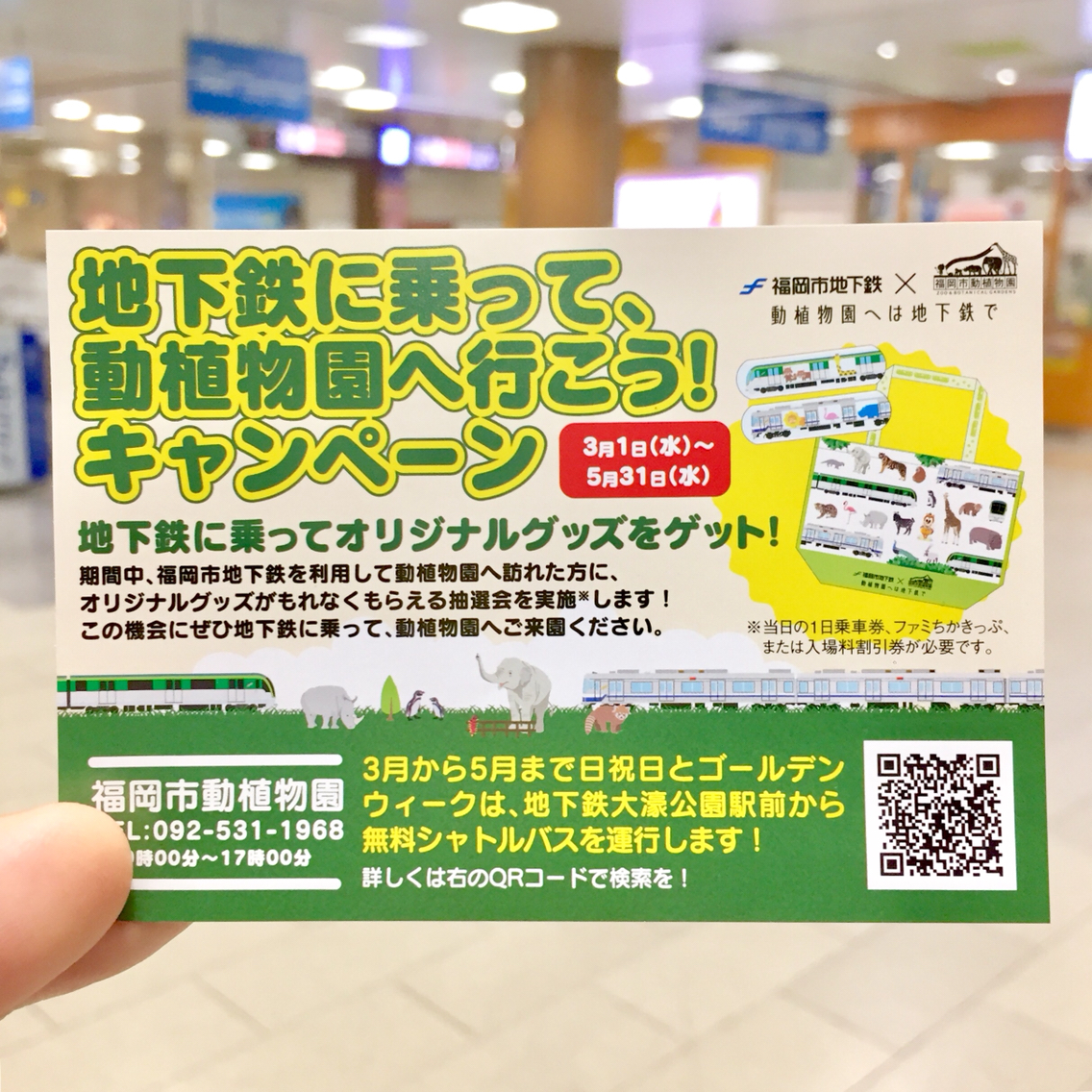 福岡市 地下鉄に乗って 動植物園へ行こう キャンペーン 開催 もれなく動物オリジナルグッズをプレゼント 5 31まで フクオカーノ 福岡市 地下鉄に乗って 動植物園へ行こう キャンペーン 開催 もれなく動物オリジナルグッズをプレゼント 5 31まで フクオカーノ