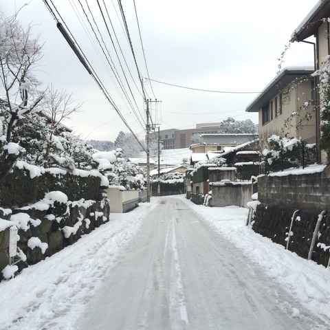 太宰府の大雪。2016年1月