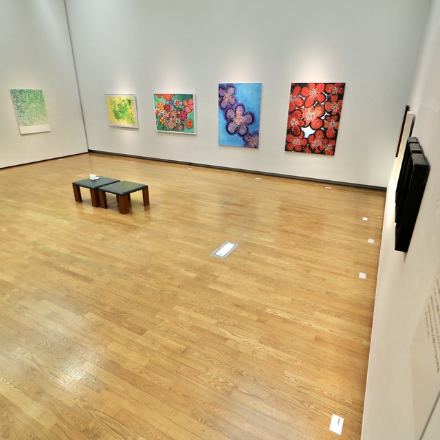 福岡アジア美術館「木梨憲武展 Timing‐瞬間の光り」