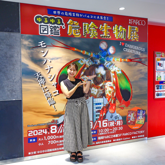 くにさきなるみさん「ゆるゆる図鑑危険生物展」福岡パルコレポート
