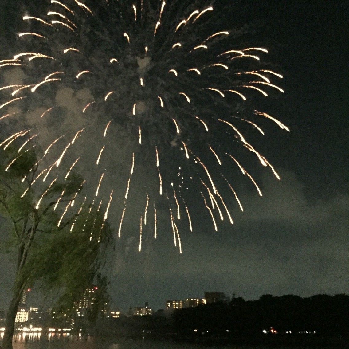 16年 西日本大濠花火大会 真夏の大濠公園に6 000発の花火が上がりました フクオカーノ