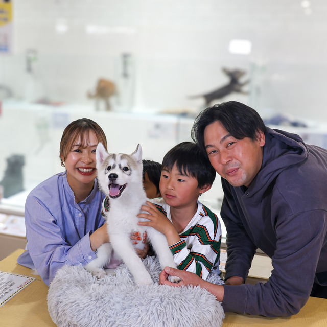 ペッツメイト天神大名店「レア犬祭」福岡市