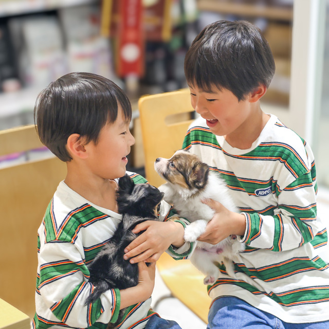ペッツメイト天神大名店「レア犬祭」福岡市