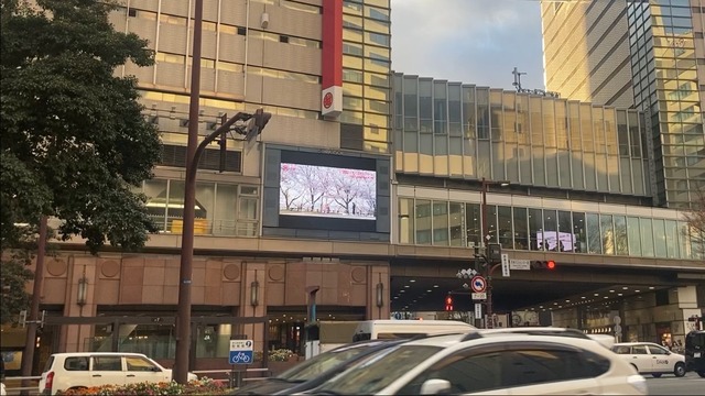映画「徒桜（あだざくら）」福岡天神ビジョン