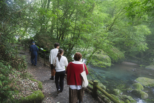 熊本県 菊池観光協会「菊池渓谷マインドフルネスツーリズム」2025年