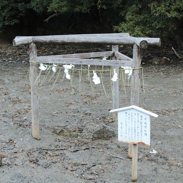 ORC福岡-対馬便で行く女子旅。和多都美神社。