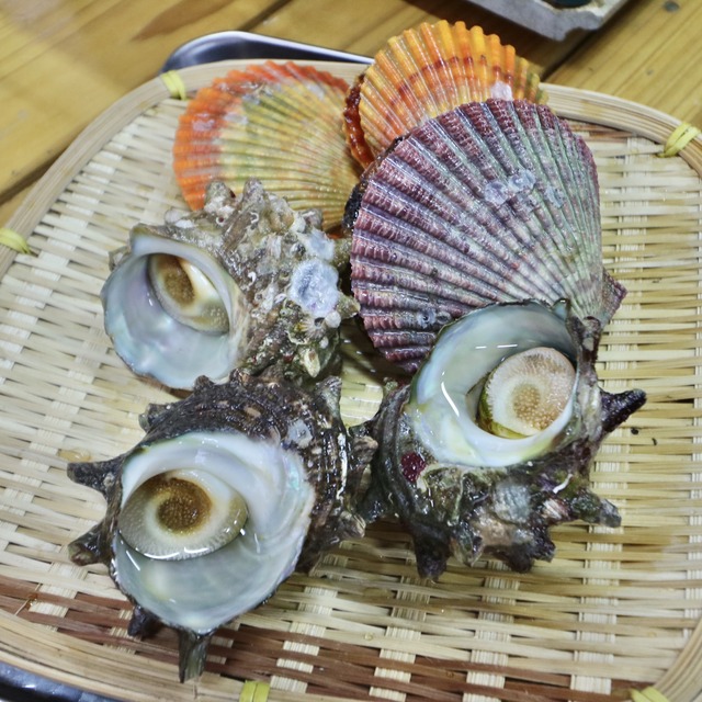 ORC福岡-対馬便で行く女子旅。海小屋 吉栄（よしえい）。