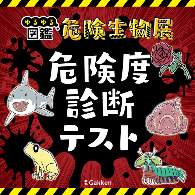 「ゆるゆる図鑑危険生物展」福岡パルコ2024年危険度診断テスト
