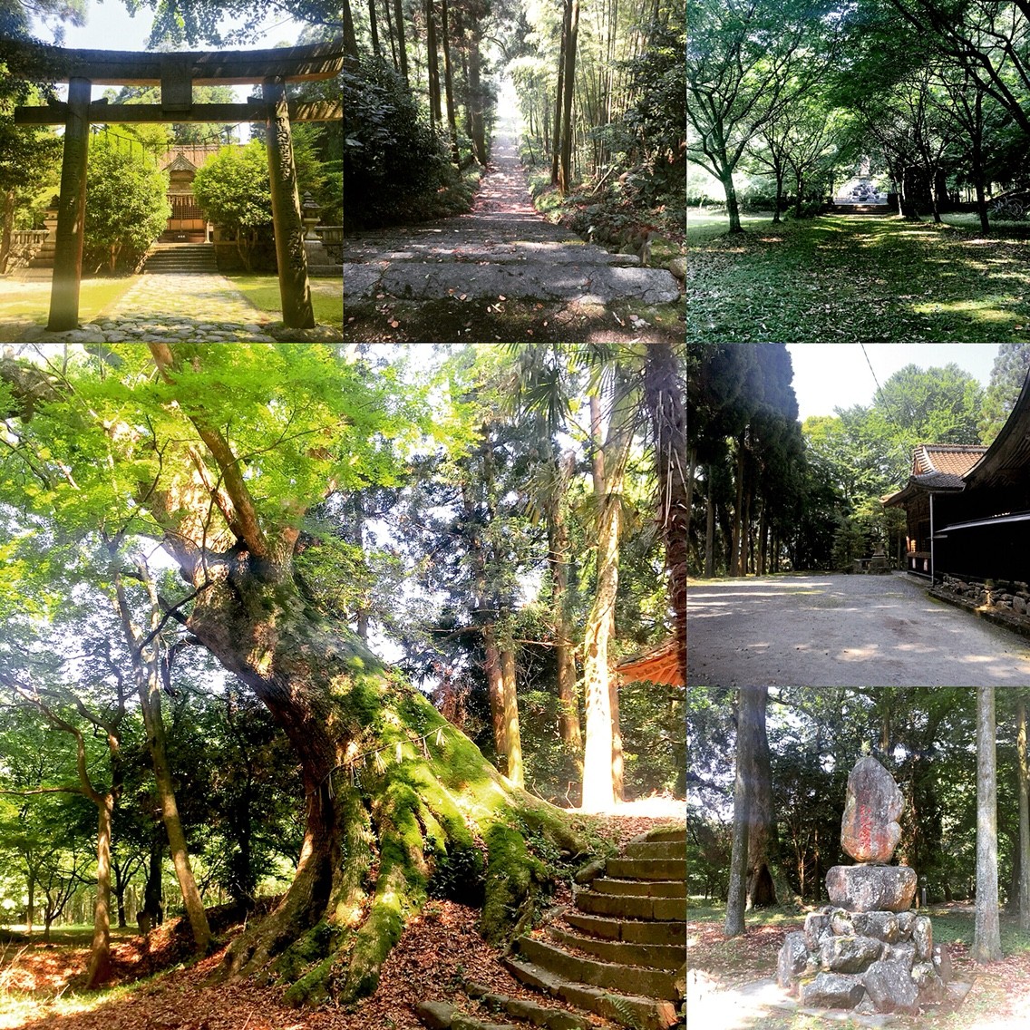 秋月城の黒門から登る 秋月八幡宮 楠の御神木は荘厳でした 秋月家と黒田家から守られてきた神社なのだそうです フクオカーノ 秋月城の黒門から登る 秋月八幡宮 楠の御神木は荘厳でした 秋月家と黒田家から守られてきた神社なのだそうです フクオカーノ