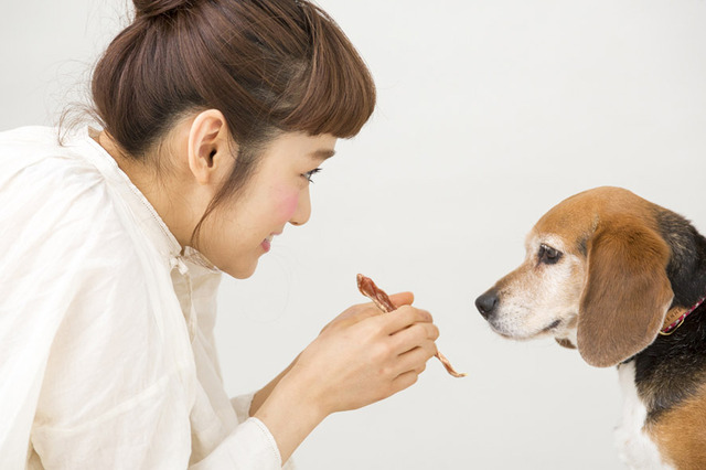 「犬の一日」完全無添加の犬のおやつ