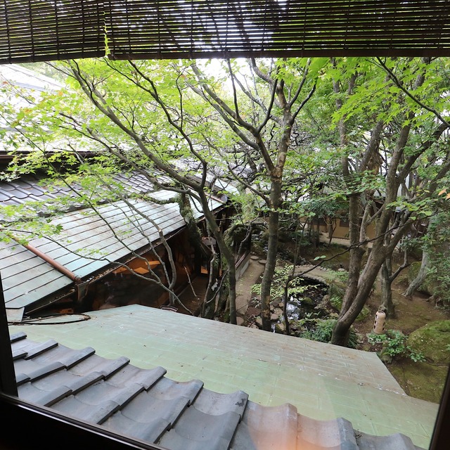 「イノベーティブ・フレンチ ワタハン」福岡市白金に開業レポート