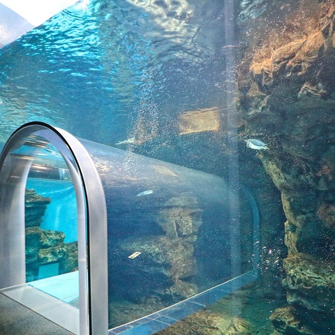 DB689179-FABA-49A1-A394-38585F61A026