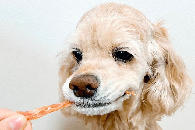 犬の一日「鶏ささみスティック」