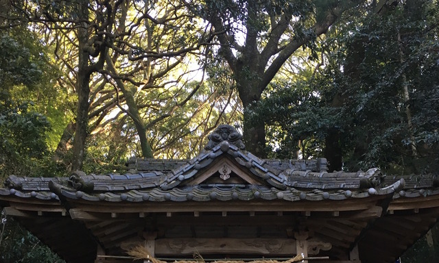 石穴稲荷神社の本殿屋根