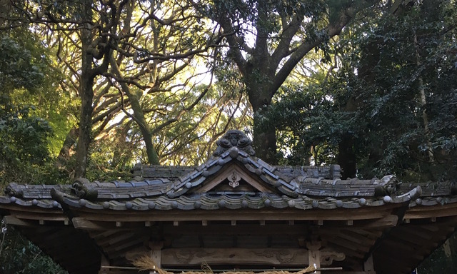 石穴稲荷神社の本殿屋根