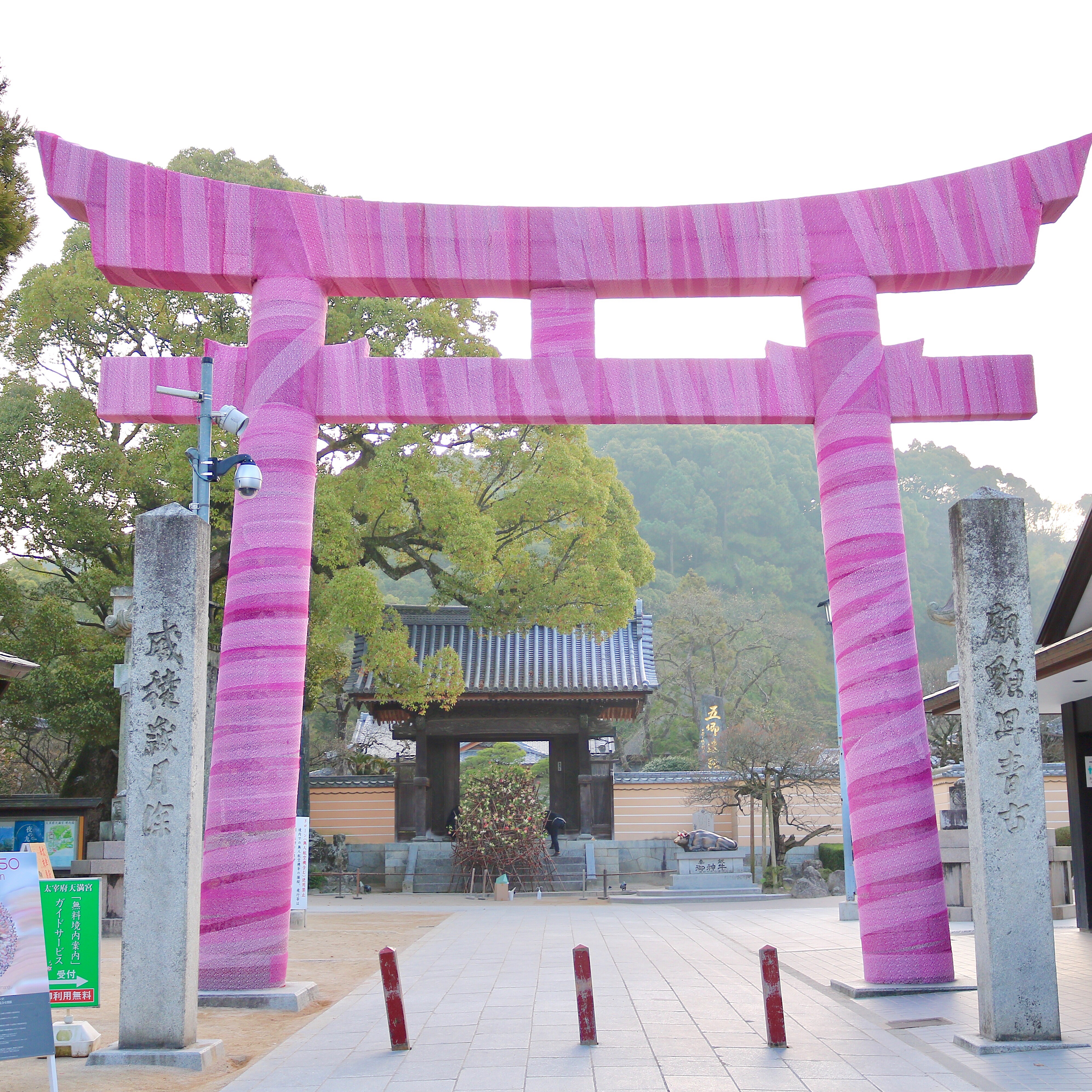 太宰府天満宮 ニコライ バーグマン展覧会 Hanami 50 レポート 未来の花見 がテーマで ピンクの鳥居も出現 フクオカーノ 福岡の情報サイト