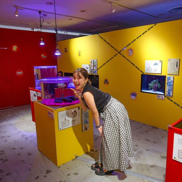 くにさきなるみさん「ゆるゆる図鑑危険生物展」福岡パルコレポート