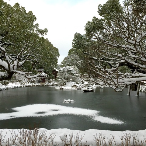 太宰府の大雪。2016年1月
