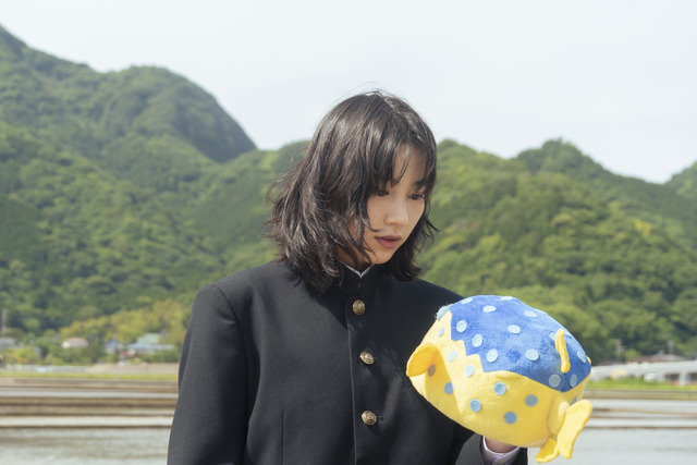 映画「さかなのこ」情報