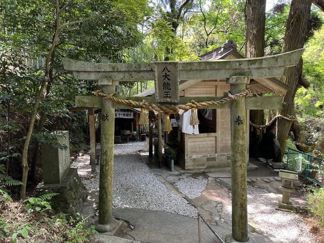 熊本県 菊池観光協会「菊池渓谷マインドフルネスツーリズム」2025年