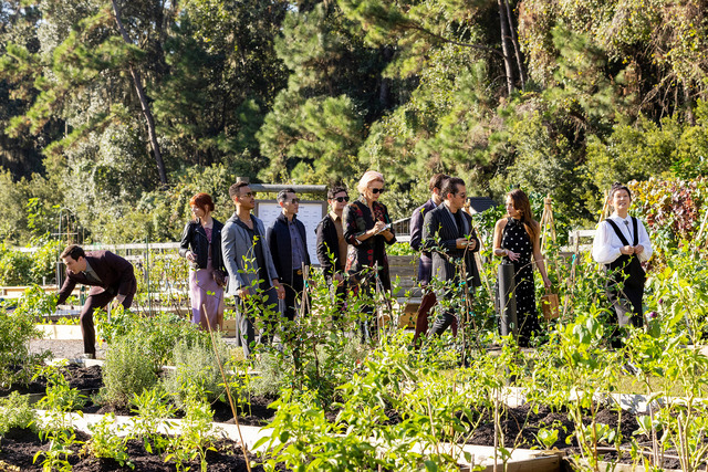 映画「ザ・メニュー」情報