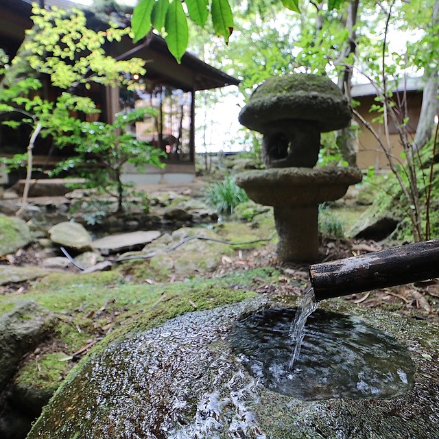 「イノベーティブ・フレンチ ワタハン」福岡市白金に開業レポート