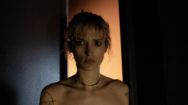 映画「TITANE／チタン」情報