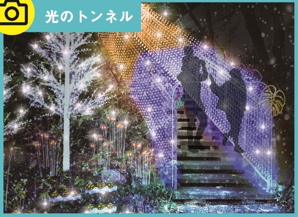 光のトンネル