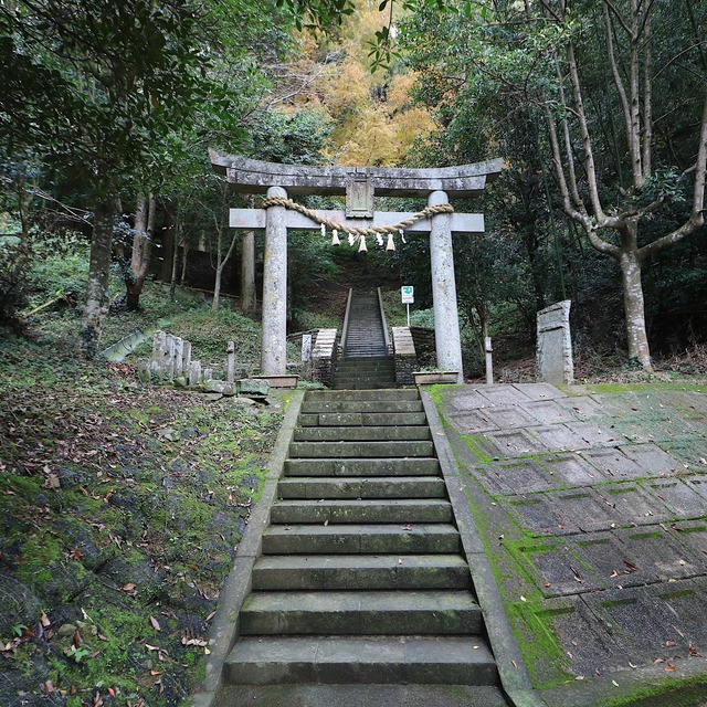 天草の崎津集落「教会の見えるチャペルの鐘展望公園」