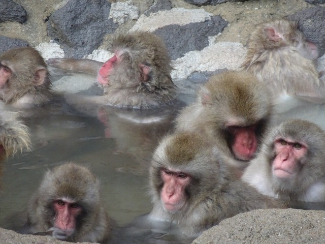 4F8E1B5D-86CD-4D65-9A28-A005DDDB868D