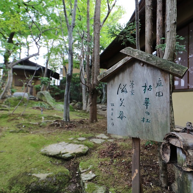 「イノベーティブ・フレンチ ワタハン」福岡市白金に開業レポート