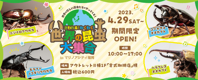 「マリノアシティ福岡」2023年お盆に「Bon!Bon!こどもパラダイス」