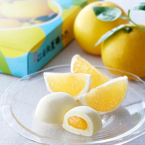 石村萬盛堂「日向夏鶴乃子(ひゅうがなつつるのこ)」