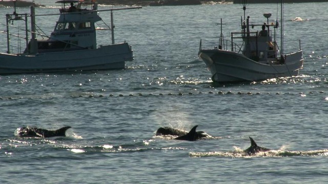 おクジラさま_シーン