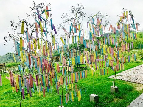 昨年の一蘭の森の様子