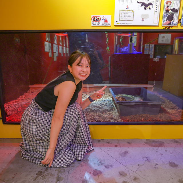 くにさきなるみさん「ゆるゆる図鑑危険生物展」福岡パルコレポート