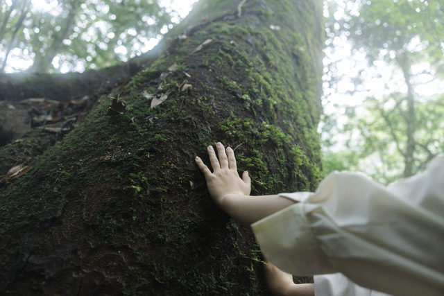 熊本県 菊池観光協会「菊池渓谷マインドフルネスツーリズム」2025年