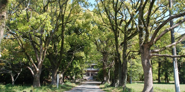 cropped-photo2-8