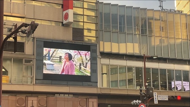 映画「徒桜（あだざくら）」福岡天神ビジョン