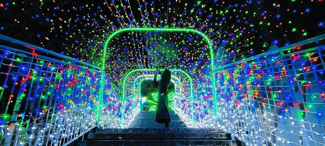 「アクロス福岡イルミネーション -ヒカリのモリ-」2023-2024年