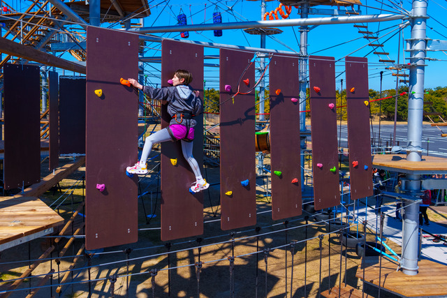 「シー・ドラグーン」のクライングパネル