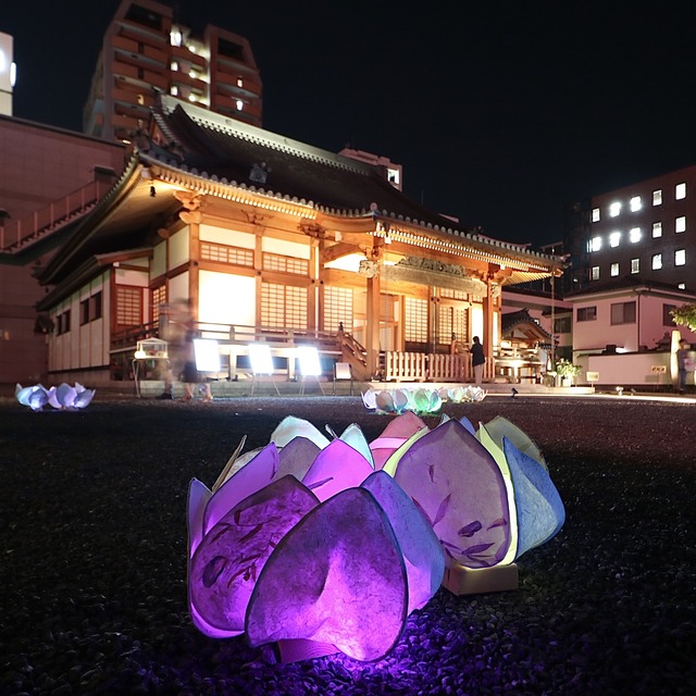 博多旧市街ライトアップウォーク2019千年煌夜_善導寺09