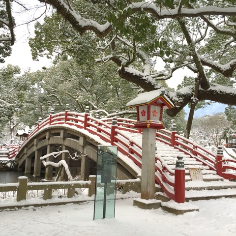 太宰府の大雪。2016年1月