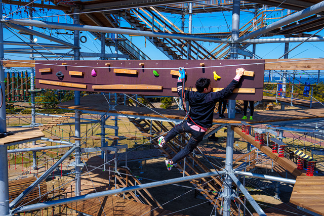 「シー・ドラグーン」のキャンパスボード