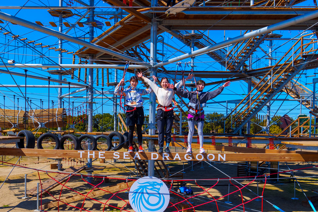 「シー・ドラグーン」の平均台