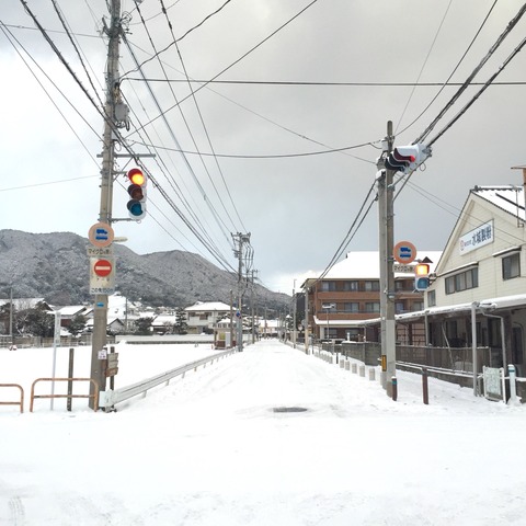 太宰府の大雪。2016年1月