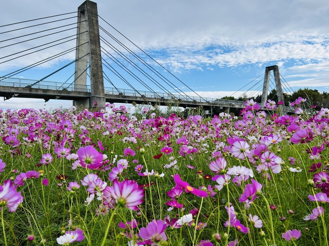 熊本県 菊池観光協会「菊池渓谷マインドフルネスツーリズム」2025年