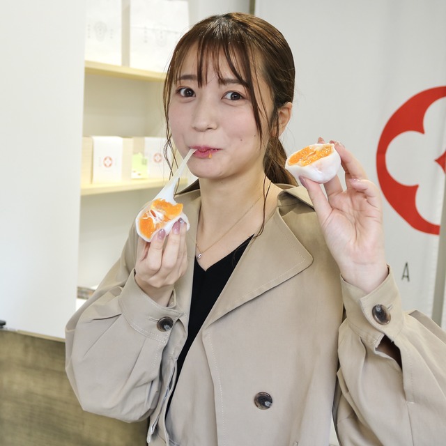 フルーツ大福専門店「浄水通 果実大福 華菱(はなびし)レポート