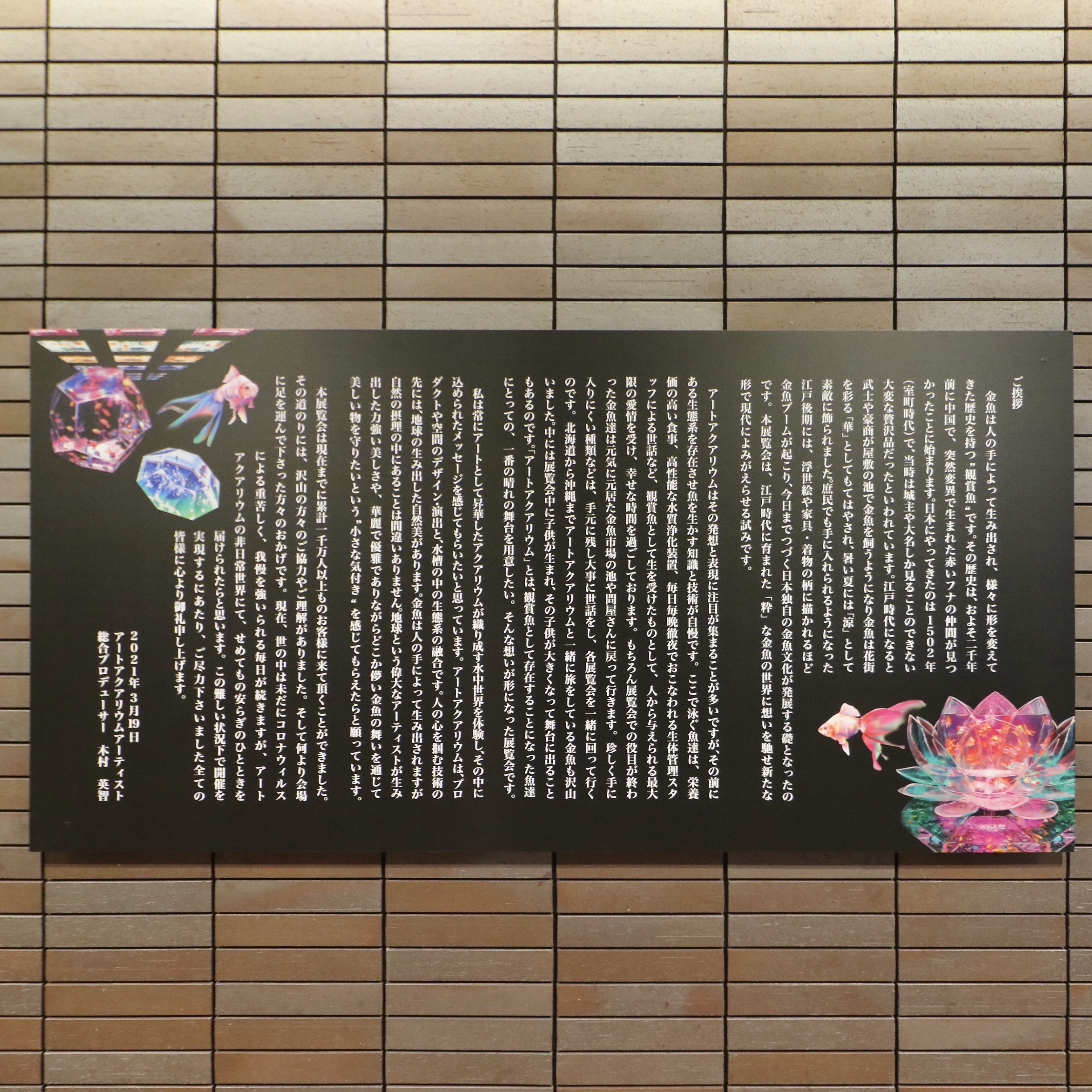 アートアクアリウム展21 博多 金魚の祭 福岡レポート 大奥御殿スペシャル 大政奉還金魚大屏風など10作品以上 フクオカーノ アートアクアリウム展21 博多 金魚の祭 福岡レポート 大奥御殿スペシャル 大政奉還金魚大屏風など10作品以上 フクオカーノ