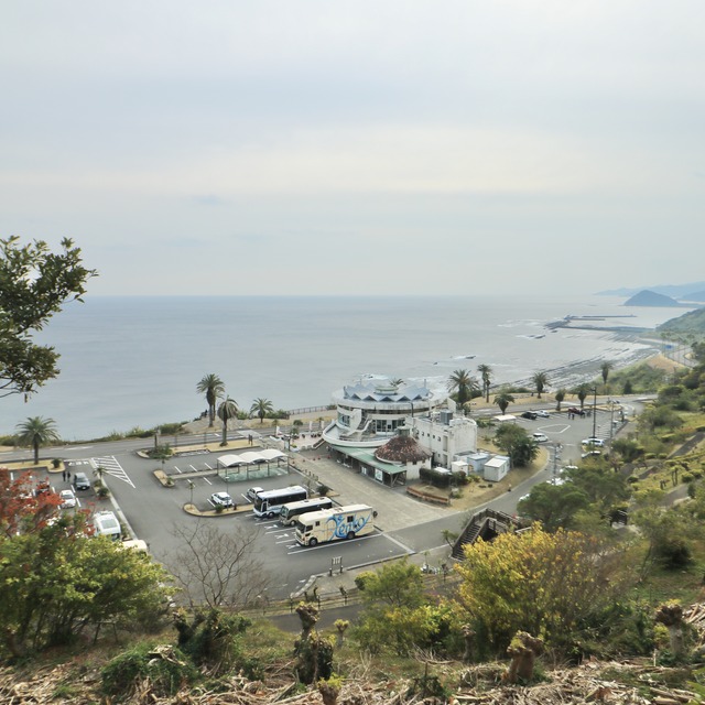 ORC福岡-宮崎便で行く女子旅。道の駅フェニックス。